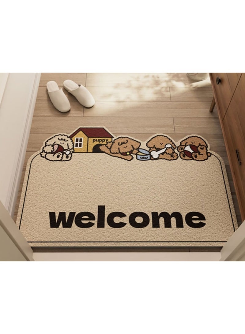 Jingke Entrance Door Mats, Entrance Porch Mats, Non-slip Absorbent Mats, Bathroom Floor Mats, Sand Removal, Wear-resistant and Rub-resistant 60*90cm - Image 1