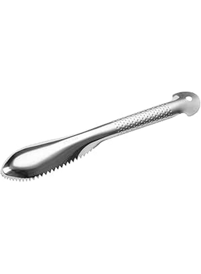Stainless Steel Fish Scaler Remover Kitchen Tool for Home Seafood Cleaning - Image 1