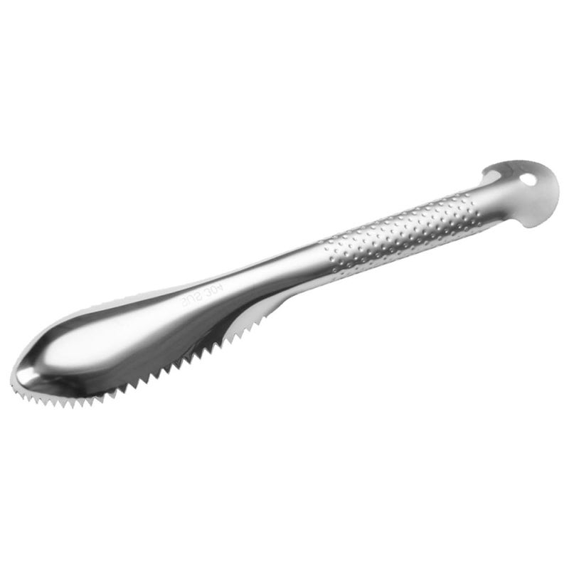 Stainless Steel Fish Scaler Remover Kitchen Tool for Home Seafood Cleaning - Image 2