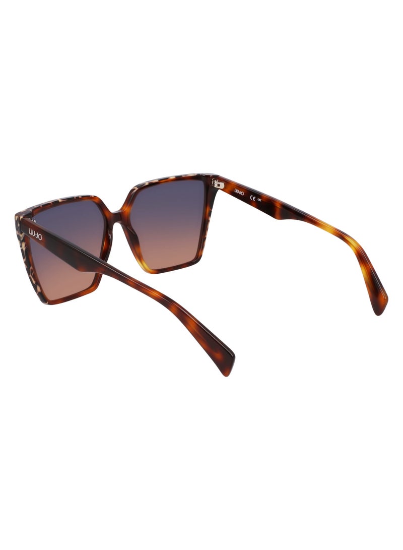 Liu Jo نظارات شمسية ليجو LJ798S 5814 (245) بإطار كامل من الأسيتات بلون السلحفاة/البني الرخامي - Image 5