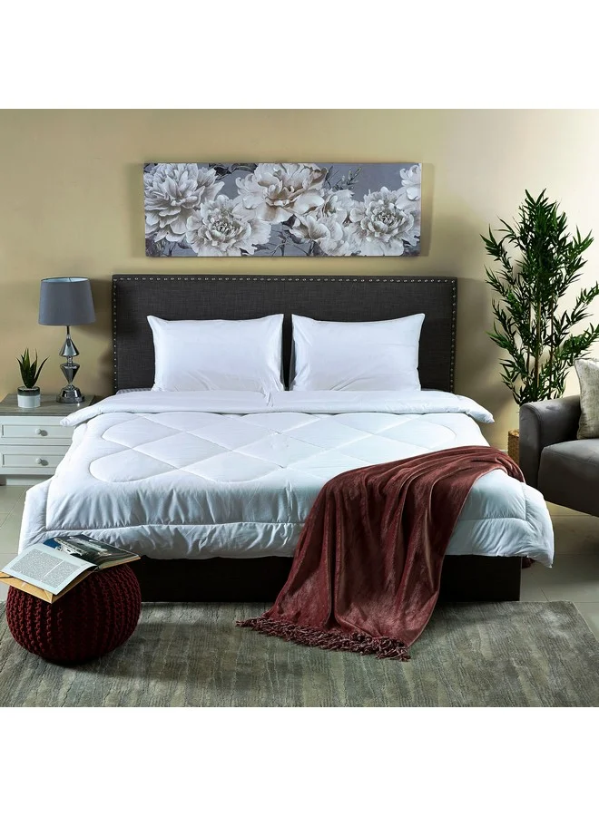 Home Box Ballina 3-Piece Solid Cotton Queen Comforter Set 240 x 200 cm