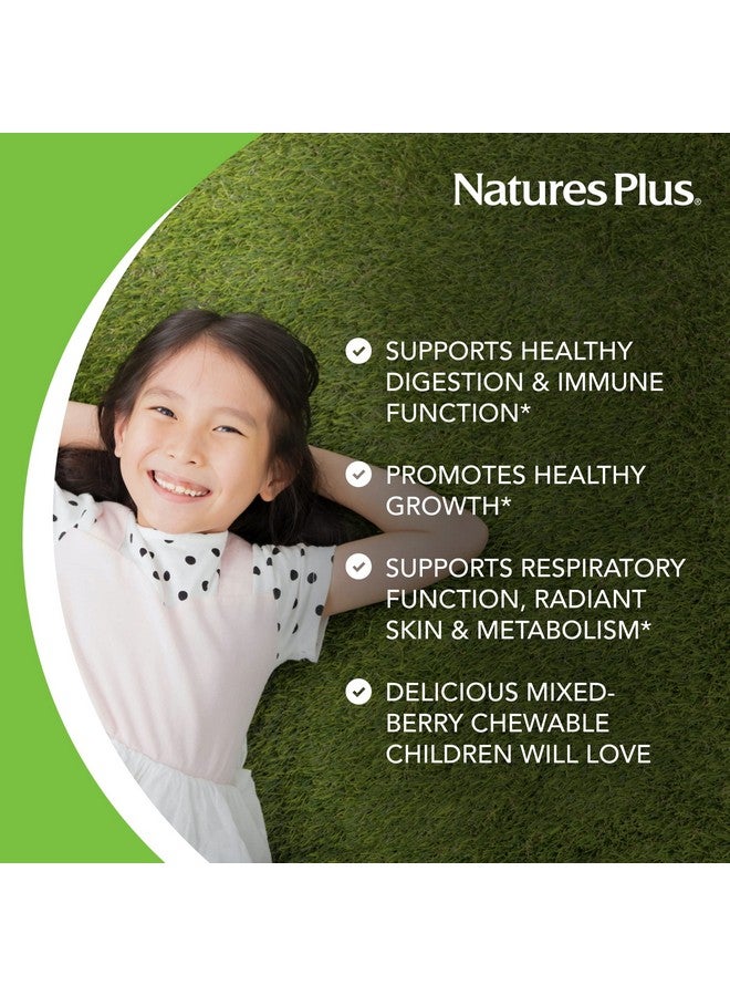 NaturesPlus Animal Parade Probiotic, Mixed Berry - 30 Chewables - Children’s Digestion Supplement - Supports Gut Health & Immune Function - Vegan, Gluten Free - 30 Servings - Image 3