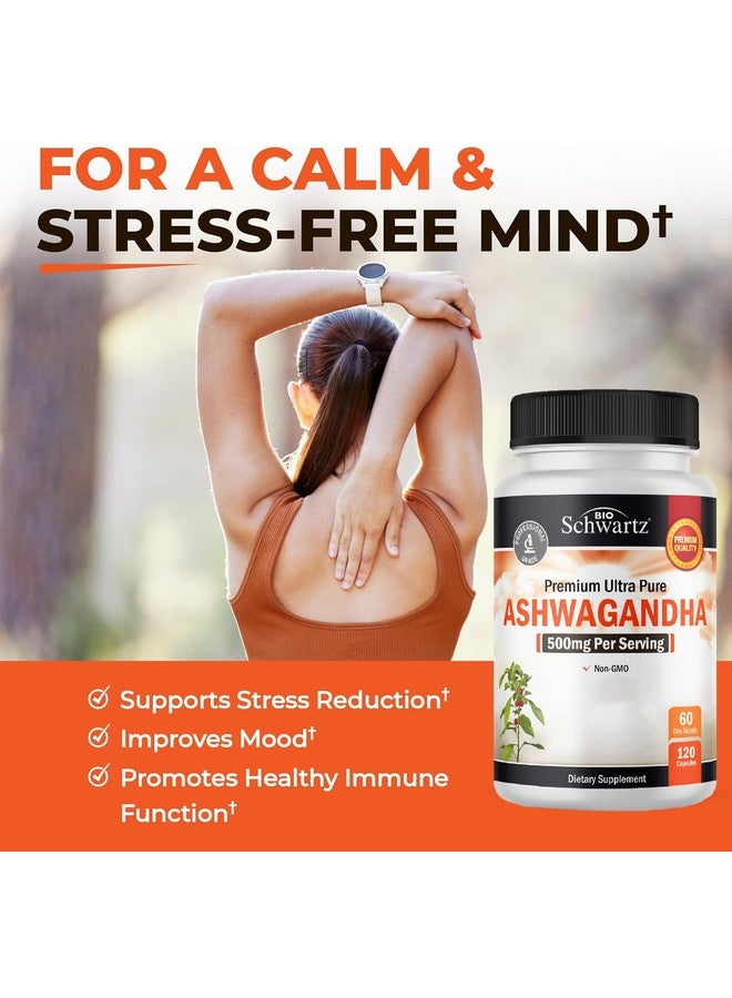 BioSchwartz مكملات بيوشوارز أشواغاندا - كبسولات أشواغاندا بتركيز إضافي 500 ملغ لكل حصة - خالية من الغلوتين، غير معدلة وراثيًا، مصنوعة في الولايات المتحدة بمكونات مستوردة عالميًا، 60 حصة (120 عدد)  - Image 4