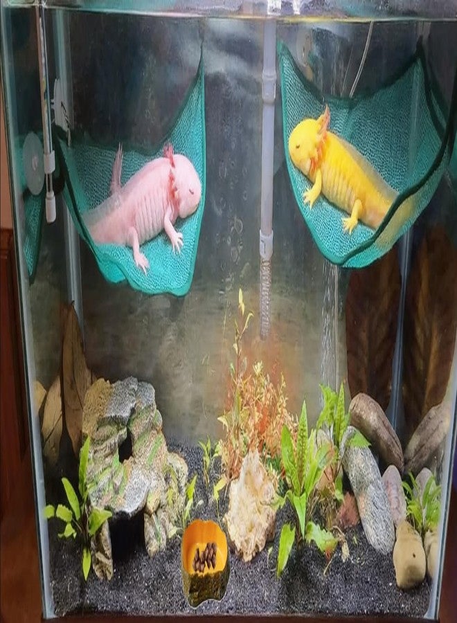 Fejapa 8 pcs Axolotl Hammock with Feeding Dish Floating Ball Axolotl Net for Aquarium Axolotl Enrichment Toys Reptile Triangle Hammocks Lounger Ladder Breathable Mesh Bearded Dragon Tank Accessories Green M - Image 5