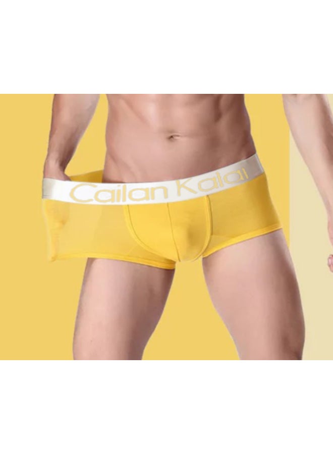 Men's Underwear Boxer Briefs Modal Breathable Boxer Shorts Youth Mid-waist Underwear Men's Zkiick