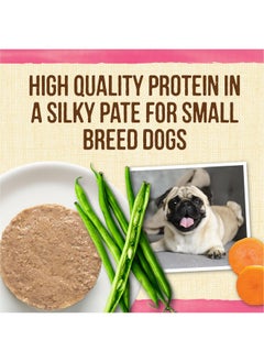 Lil’ Plates Petite Pates Premium Grain Free Wet Dog Food Variety Pack, Natural Beef, Chicken, Turkey  (Pack Of 12) 3 Oz. Cans - pzsku/Z870B2C20FC6BD06EDE65Z/45/_/1726219188/cb153a25-e84c-4ea1-a11c-88ee1bf4799a