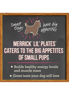 Lil’ Plates Petite Pates Premium Grain Free Wet Dog Food Variety Pack, Natural Beef, Chicken, Turkey  (Pack Of 12) 3 Oz. Cans - pzsku/Z870B2C20FC6BD06EDE65Z/45/_/1726219258/e634381d-fc7b-472a-9af5-a74fb12c5d57