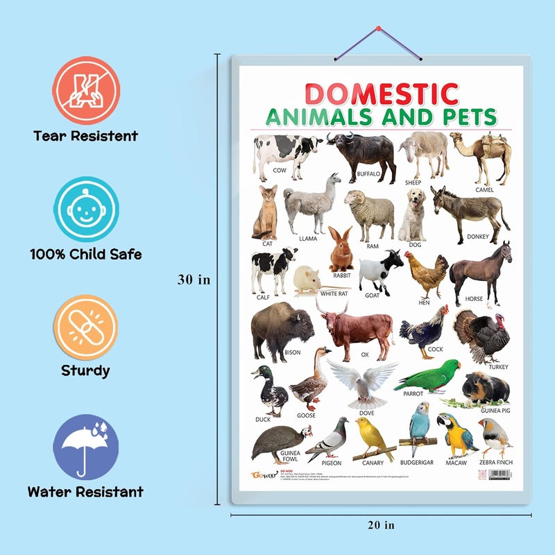 GoWoo Domestic Animals and Pets Early Learning Educational Chart for Kids | 20"X30" inch |Non-Tearable and Waterproof | Double Sided Laminated | Perfect for Homeschooling, Kindergarten and Nursery Students - Image 3