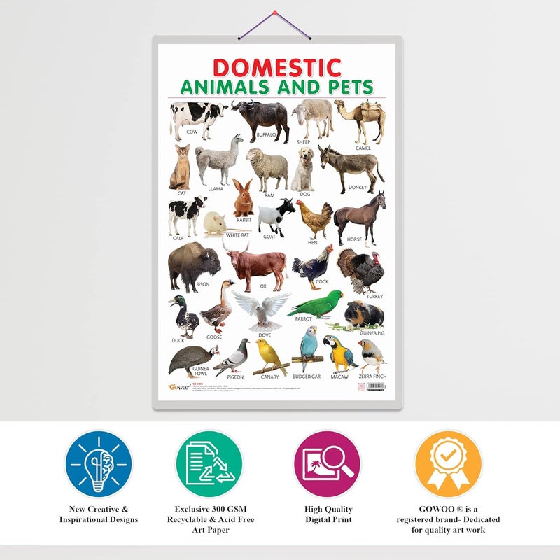 GoWoo Domestic Animals and Pets Early Learning Educational Chart for Kids | 20"X30" inch |Non-Tearable and Waterproof | Double Sided Laminated | Perfect for Homeschooling, Kindergarten and Nursery Students - Image 4