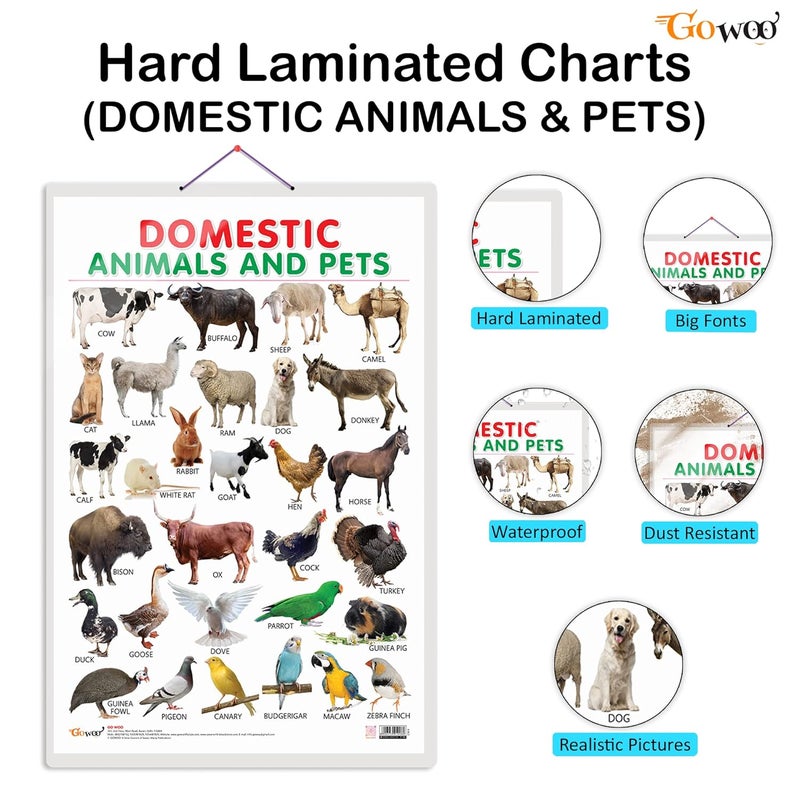GoWoo Domestic Animals and Pets Early Learning Educational Chart for Kids | 20"X30" inch |Non-Tearable and Waterproof | Double Sided Laminated | Perfect for Homeschooling, Kindergarten and Nursery Students - Image 2