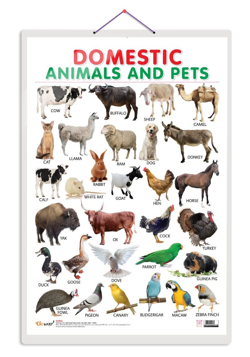 GoWoo Domestic Animals and Pets Early Learning Educational Chart for Kids | 20"X30" inch |Non-Tearable and Waterproof | Double Sided Laminated | Perfect for Homeschooling, Kindergarten and Nursery Students - Image 1