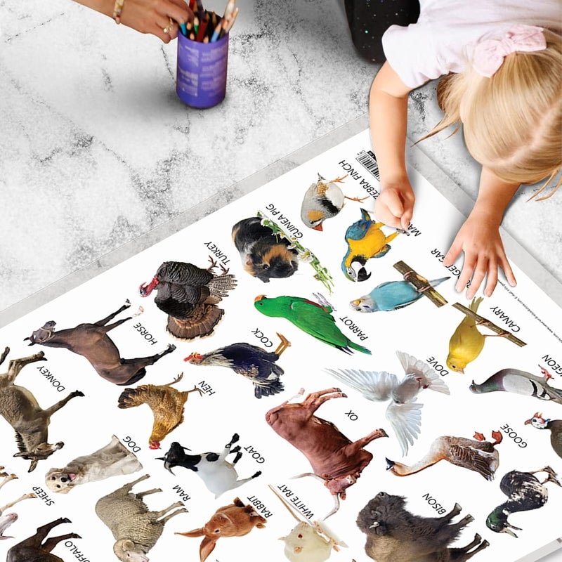 GoWoo Domestic Animals and Pets Early Learning Educational Chart for Kids | 20"X30" inch |Non-Tearable and Waterproof | Double Sided Laminated | Perfect for Homeschooling, Kindergarten and Nursery Students - Image 5