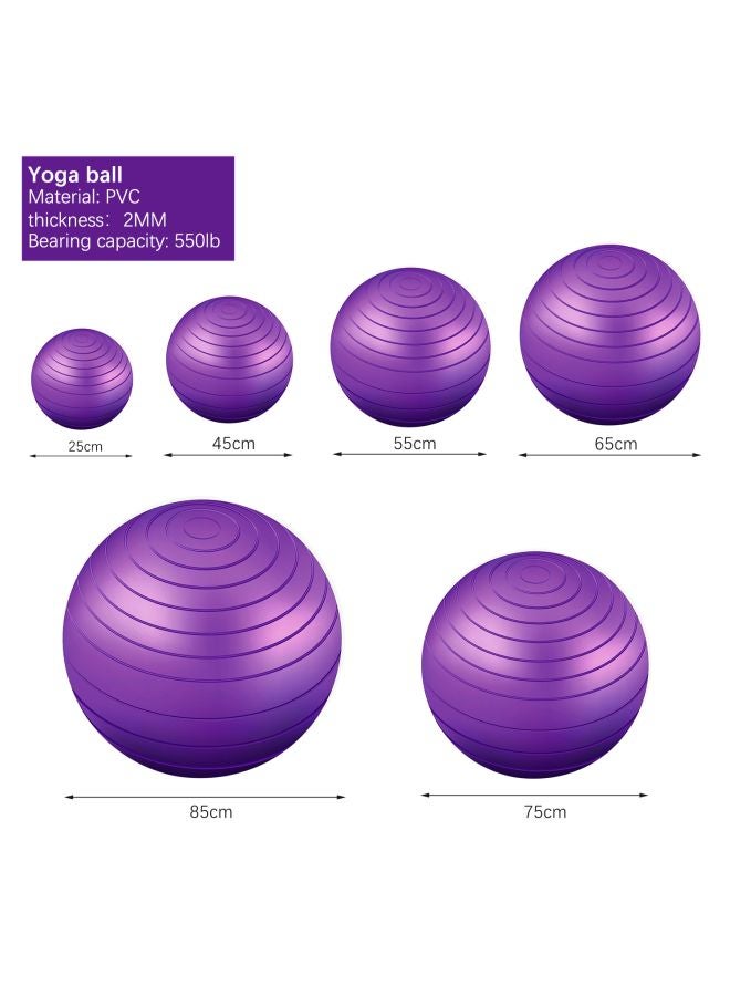 TOMSHOO Anti-Burst Yoga Ball With Hand Pump - Image 3