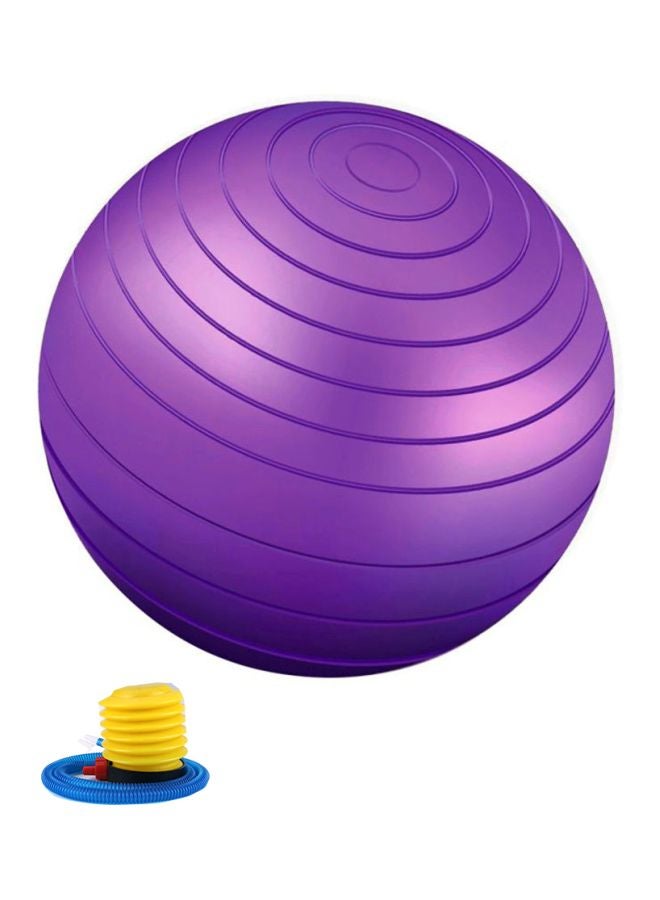TOMSHOO Anti-Burst Yoga Ball With Hand Pump - Image 1