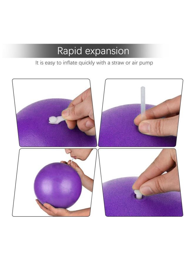 TOMSHOO Anti-Burst Yoga Ball With Hand Pump - Image 4