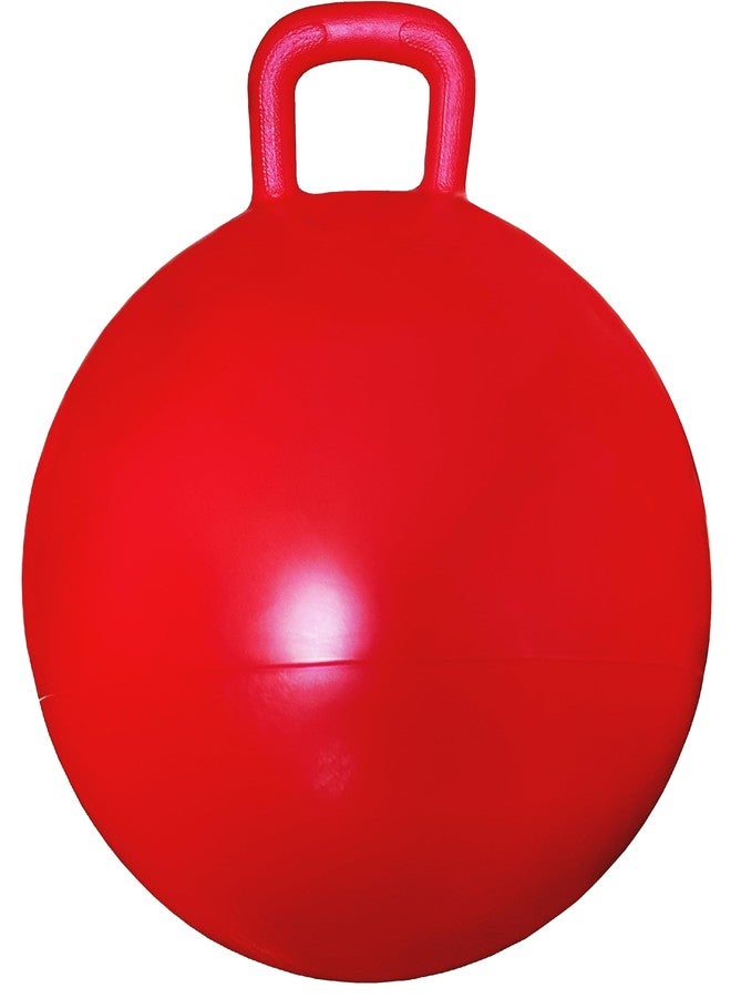 AppleRound Hippity Hoppity Hopball with Ball Pump, 18in/45cm Diameter for Age 3-7, Kangaroo Bouncer, Space Hopper Ball with Handle for Children, Printed Design (Ladybug) - Image 3