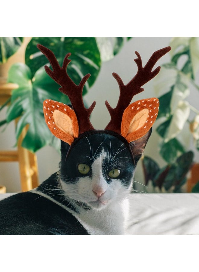 Beaupretty - Beaupretty Hat for Women Lace Headband Puppy Accessories for Small Dogs Pet Reindeer Costume Christmas Deer Ears for Small Dog Clothing Antlers Antler Hat Brown Miss Cute Cat Headband - Image 1