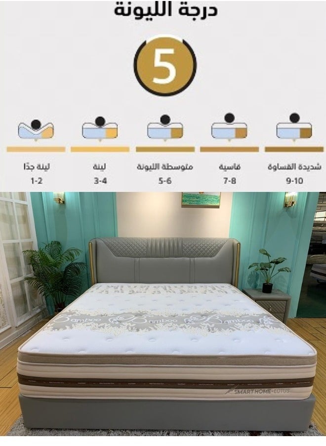 SMART HOME - Multi-layer bed mattress with high density sponge texture, 12-layer medical mattress made of memory foam, 200 cm long, 120 cm wide and 30 cm high - Image 1