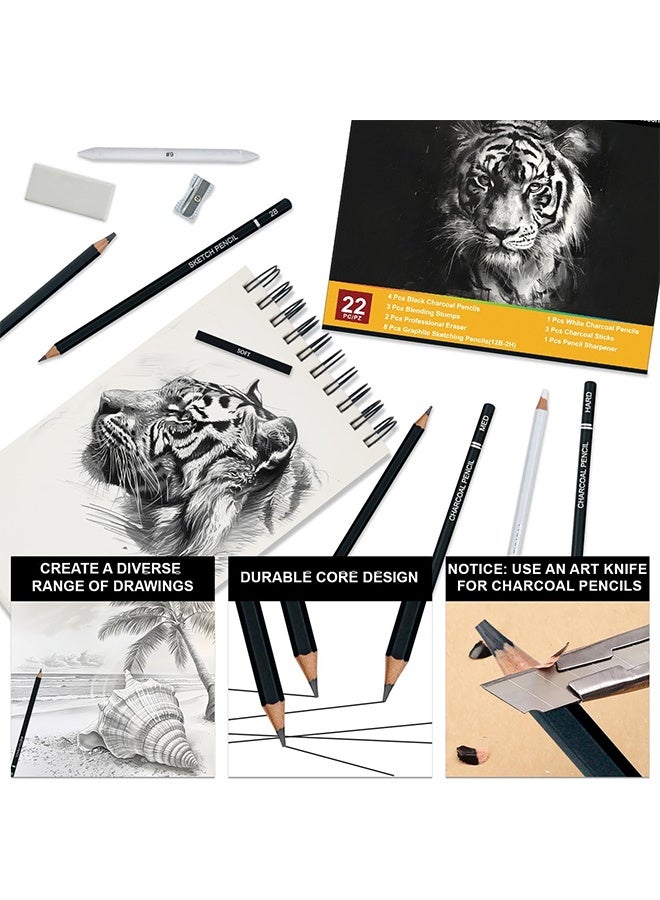 MXN 22-Piece Drawing Sketching Pencil Set with Charcoal Pencils Charcoal Sticks Stumps Eraser and Sharpeners - Pro Artist Sketch Kit for Sketching, Shading, Art Drawing Supplies for Beginners & Pro Artists - Image 3