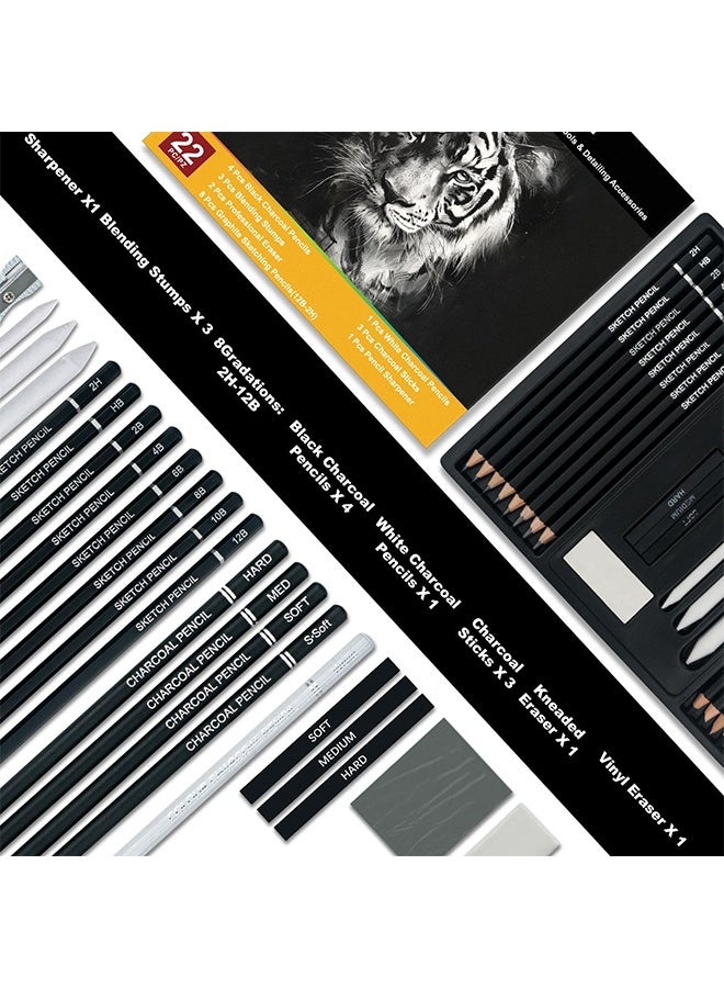 MXN 22-Piece Drawing Sketching Pencil Set with Charcoal Pencils Charcoal Sticks Stumps Eraser and Sharpeners - Pro Artist Sketch Kit for Sketching, Shading, Art Drawing Supplies for Beginners & Pro Artists - Image 4