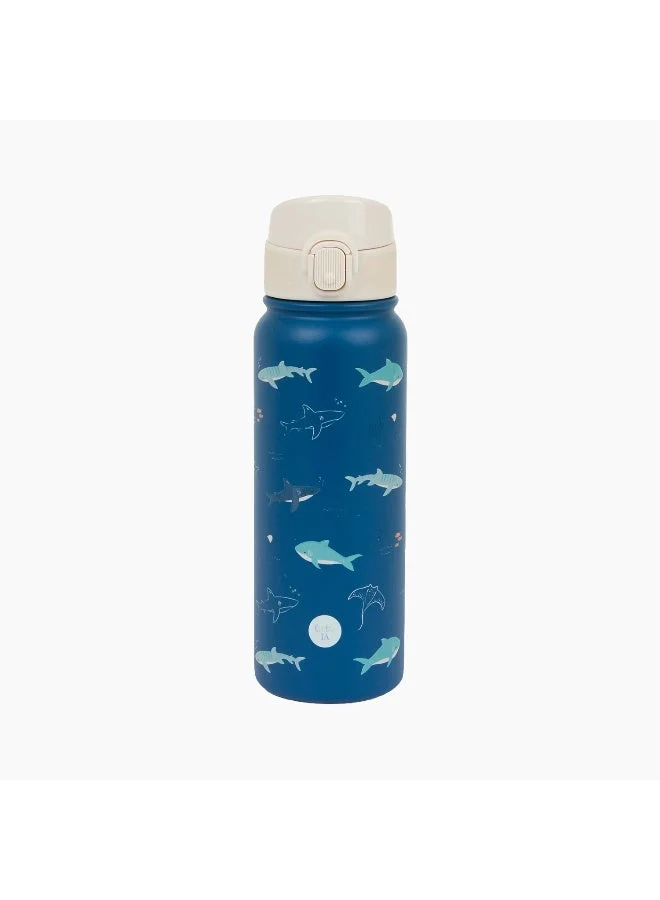 Little IA Open Water Stainless Bottle with Spout