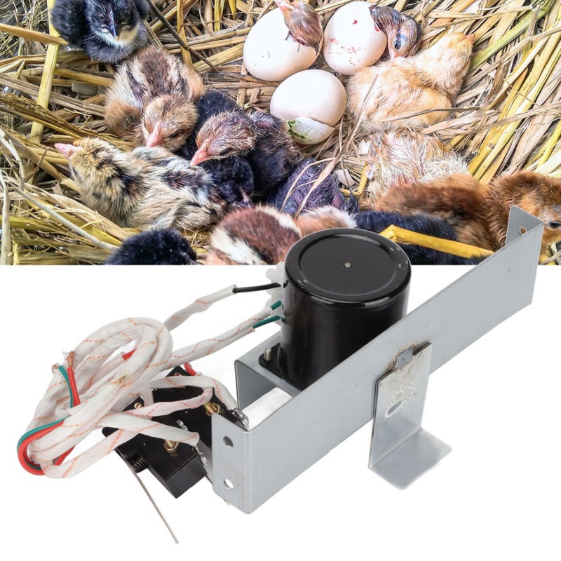 Egg Turning Motor System Automatic Incubator Egg Turning Motor with Chain Automatic Incubator Accessories 220V - Image 1