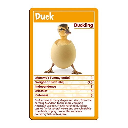 Top Trumps Baby Animals Top Trumps Card Game - Image 2