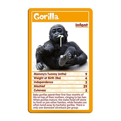 Top Trumps Baby Animals Top Trumps Card Game - Image 4
