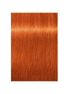 Schwarzkopf Schwarzkopf Professional Igora Royal Permanent Hair Color, 8-77, Light Blonde Copper, 60 Gram  - Image 2