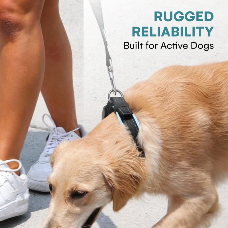 Black Rhino Dog Collar for Large Dogs - Adjustable Reflective Heavy Duty Dog Collars with Ultra-Soft Neoprene Padding - Weatherproof, Durable, and Comfortable for Active Dogs - Green and Black - Image 5