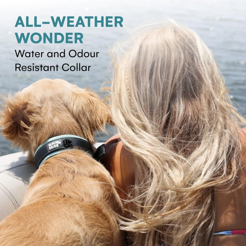 Black Rhino Dog Collar for Large Dogs - Adjustable Reflective Heavy Duty Dog Collars with Ultra-Soft Neoprene Padding - Weatherproof, Durable, and Comfortable for Active Dogs - Green and Black - Image 4