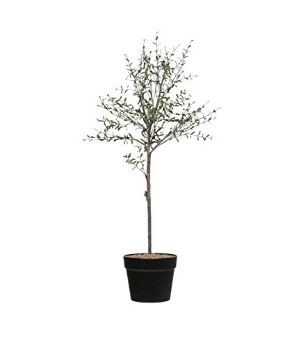 Creative CoOp DF2615 29 H Thyme Topiary in Pot Faux Botanicals Green