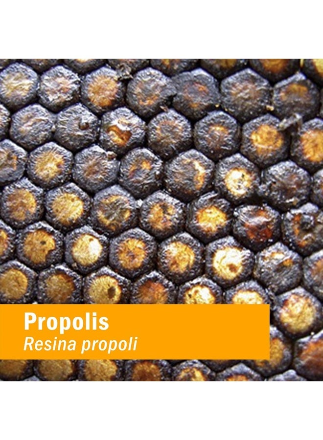 HERB PHARM مستخلص البروبوليس لدعم جهاز المناعة - 1 أونصة - Image 3