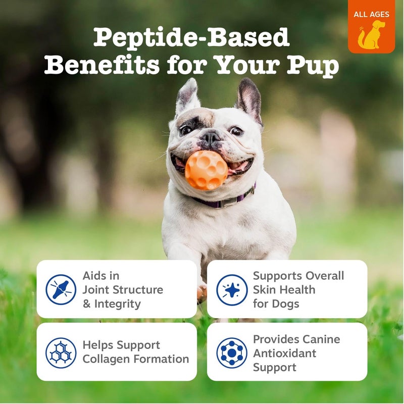 Zesty Paws Multi Collagen Soft Chews for Dogs - for Hip, Joint & Cartilage Support + Skin Health - with Collagen - Plus Eggshell Membrane, Vitamin C & Hyaluronic Acid - 90 Count - Image 2