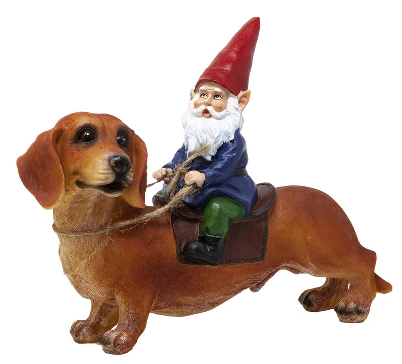 Funny Guy Mugs Gnome and a Dachshund Garden Statue IndoorOutdoor Garden Dog Gnome Sculpture for Patio Yard or Lawn