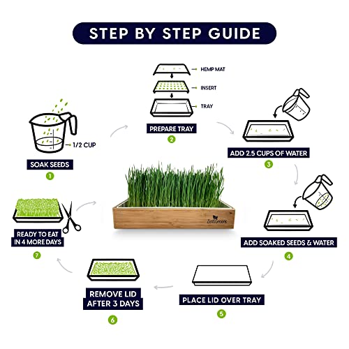 ZESTIGREENS Self-Watering Cat Grass Kit. Hands Down The Easiest Way to Grow Cat Grass. Includes Everything for a Big, Healthy Crop. - Image 3