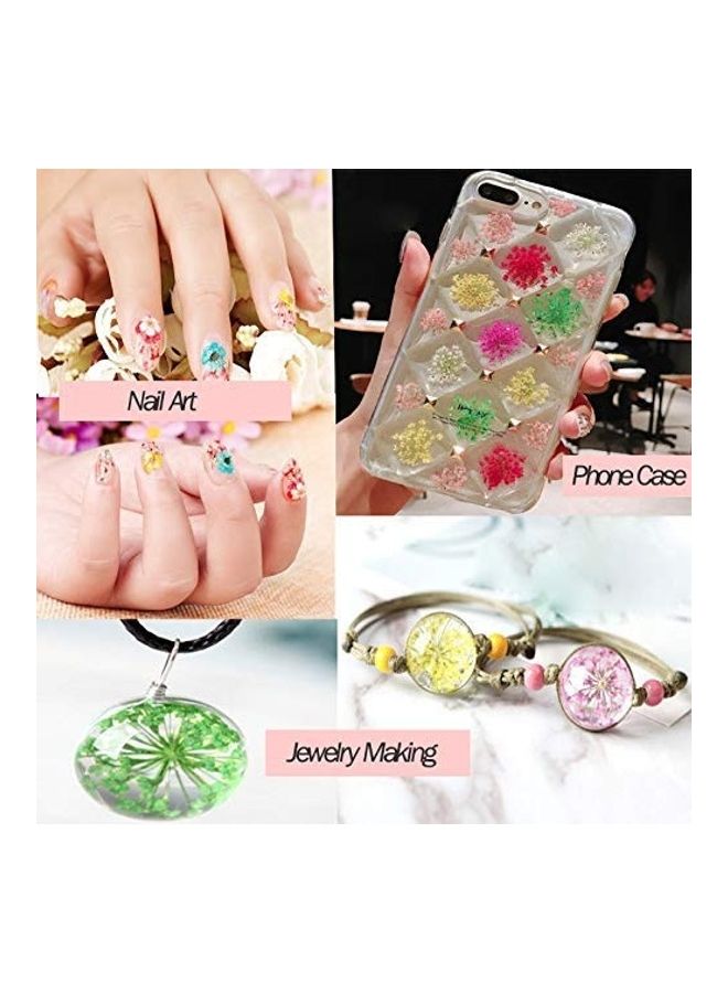 نيبمينينت مجموعة زهور مجففة للأظافر مكونة من 60 قطعة متعدد الألوان - Image 2