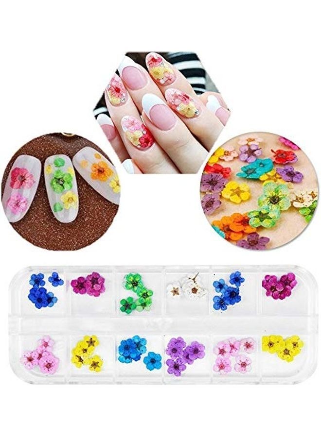 نيبمينينت مجموعة زهور مجففة للأظافر مكونة من 60 قطعة متعدد الألوان - Image 4