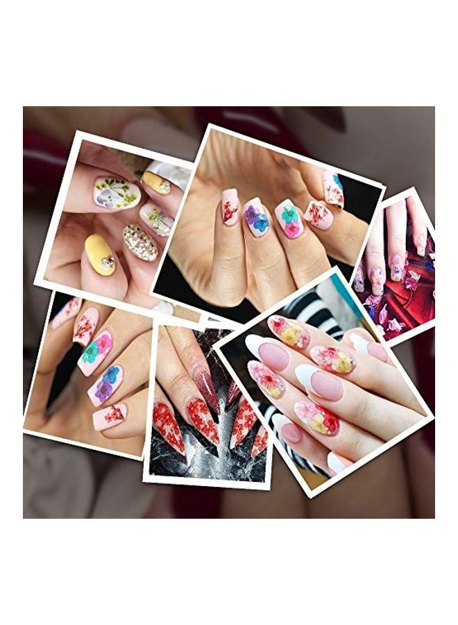 نيبمينينت مجموعة زهور مجففة للأظافر مكونة من 60 قطعة متعدد الألوان - Image 3