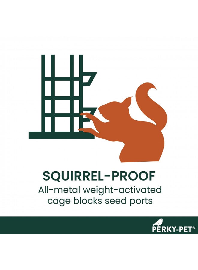 Perky-Pet 336-1SR Squirrel-Be-Gone Bird Feeder, 2LB Squirrel Proof Outdoor Wild Bird Feeder with Weight-Activated Perches - Image 3