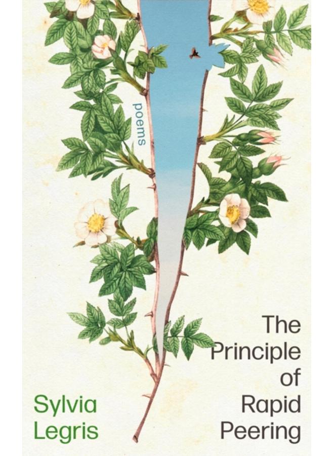 The Principle of Rapid Peering 