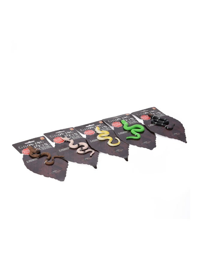 Grow-in-Water Snake Toy, Assorted Colors - Image 1