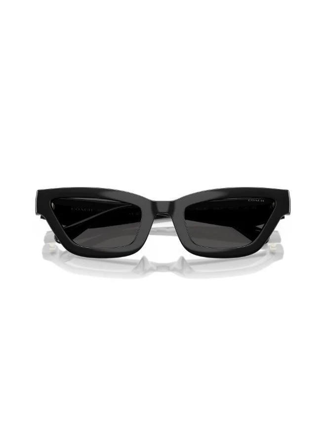 COACH UV protection Sunglasses