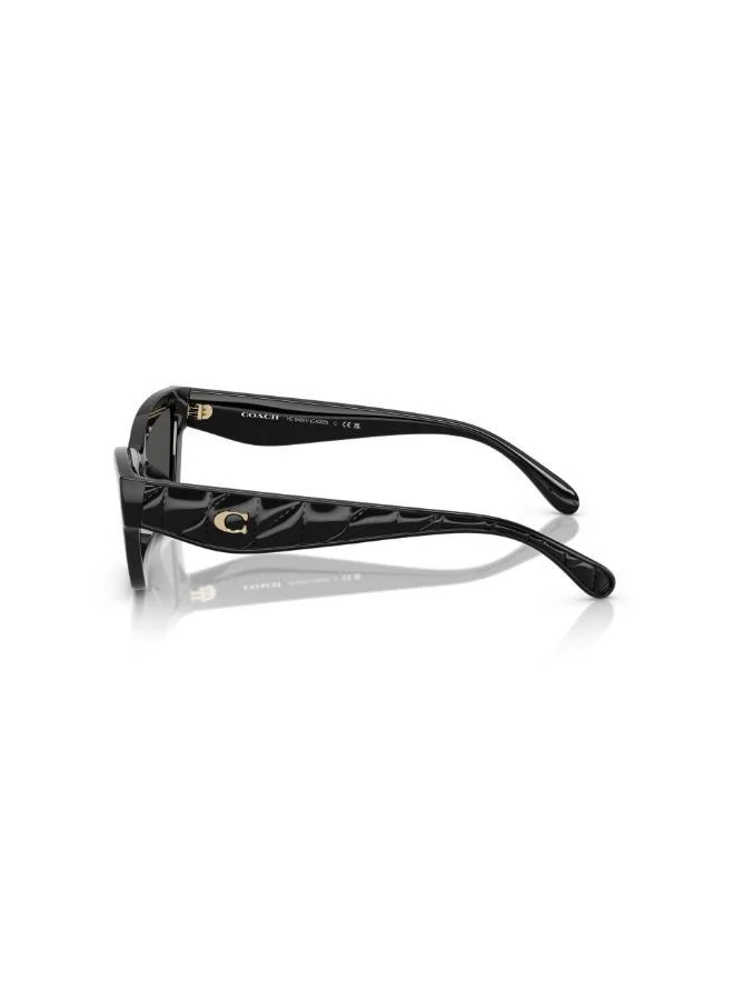 COACH UV protection Sunglasses