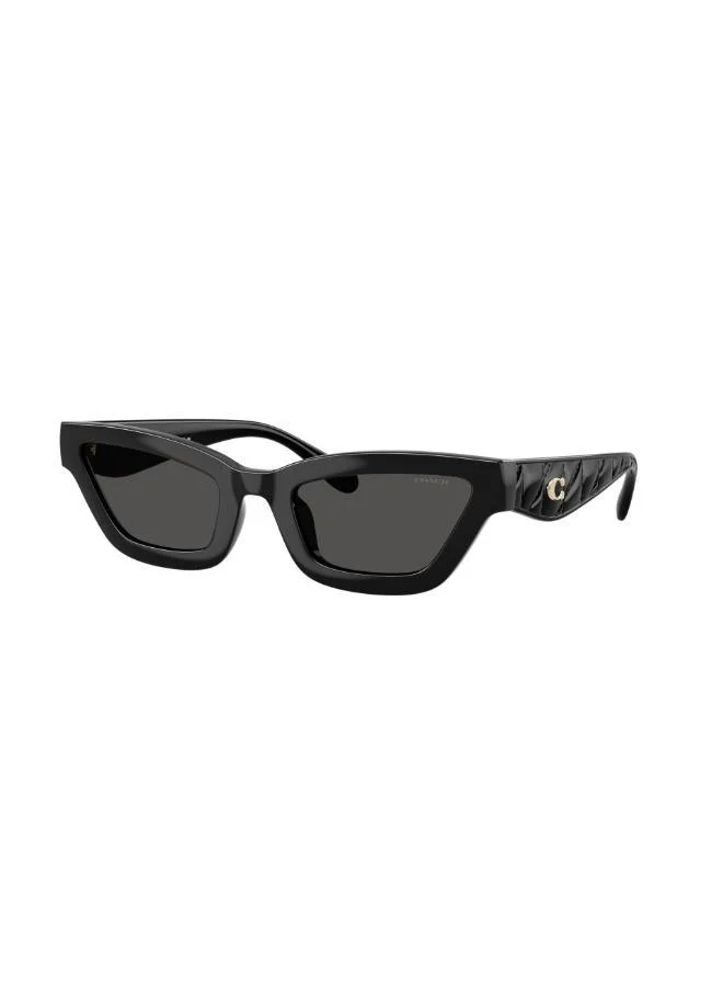 COACH UV protection Sunglasses