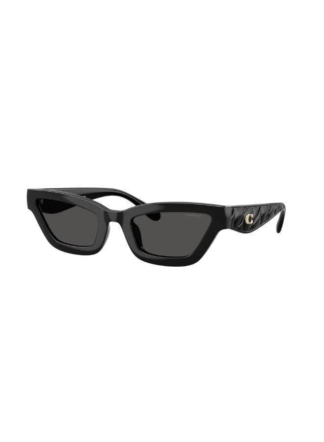 COACH  UV protection Sunglasses for Women | Best Price UAE