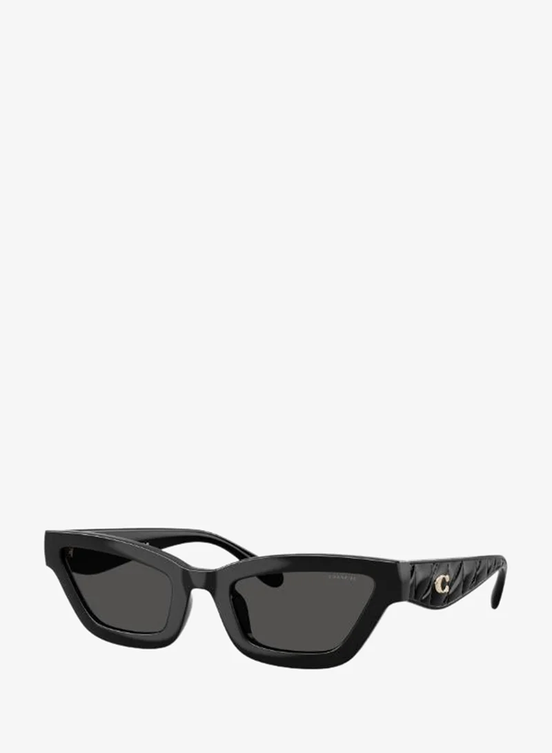 Coach  UV protection Sunglasses for Women | Best Price UAE