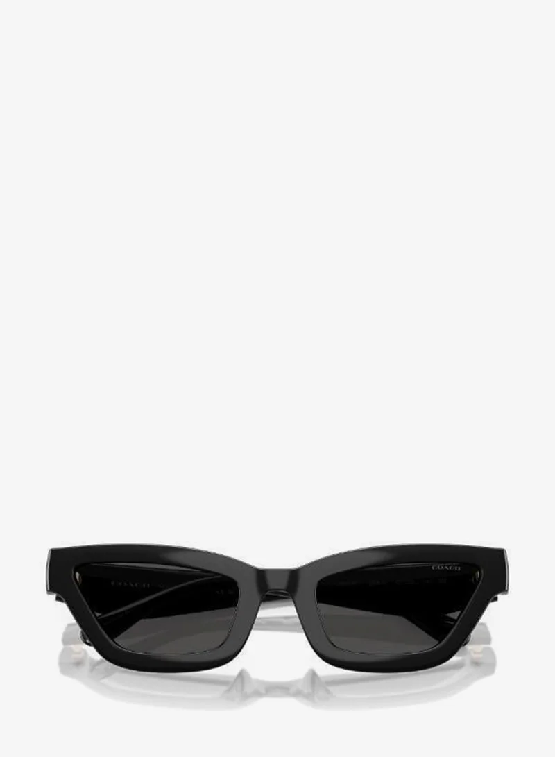 Coach  UV protection Sunglasses for Women | Best Price UAE