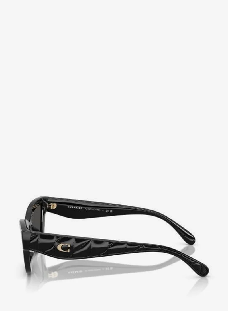 Coach  UV protection Sunglasses for Women | Best Price UAE