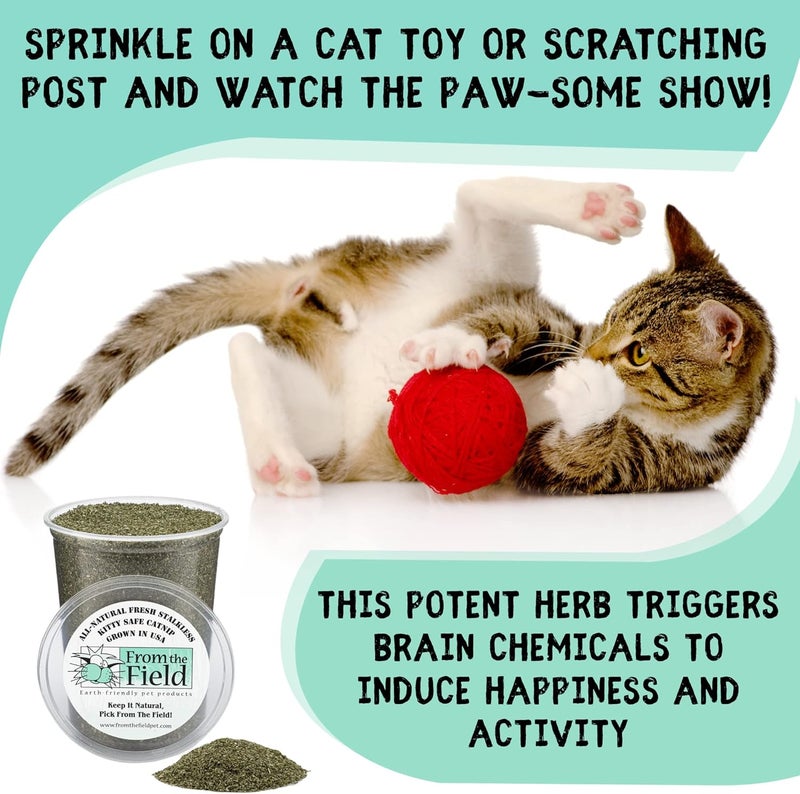 From The Field 3-Ounce Stalkless Catnip - Fresh and Organic for Cats - Image 3